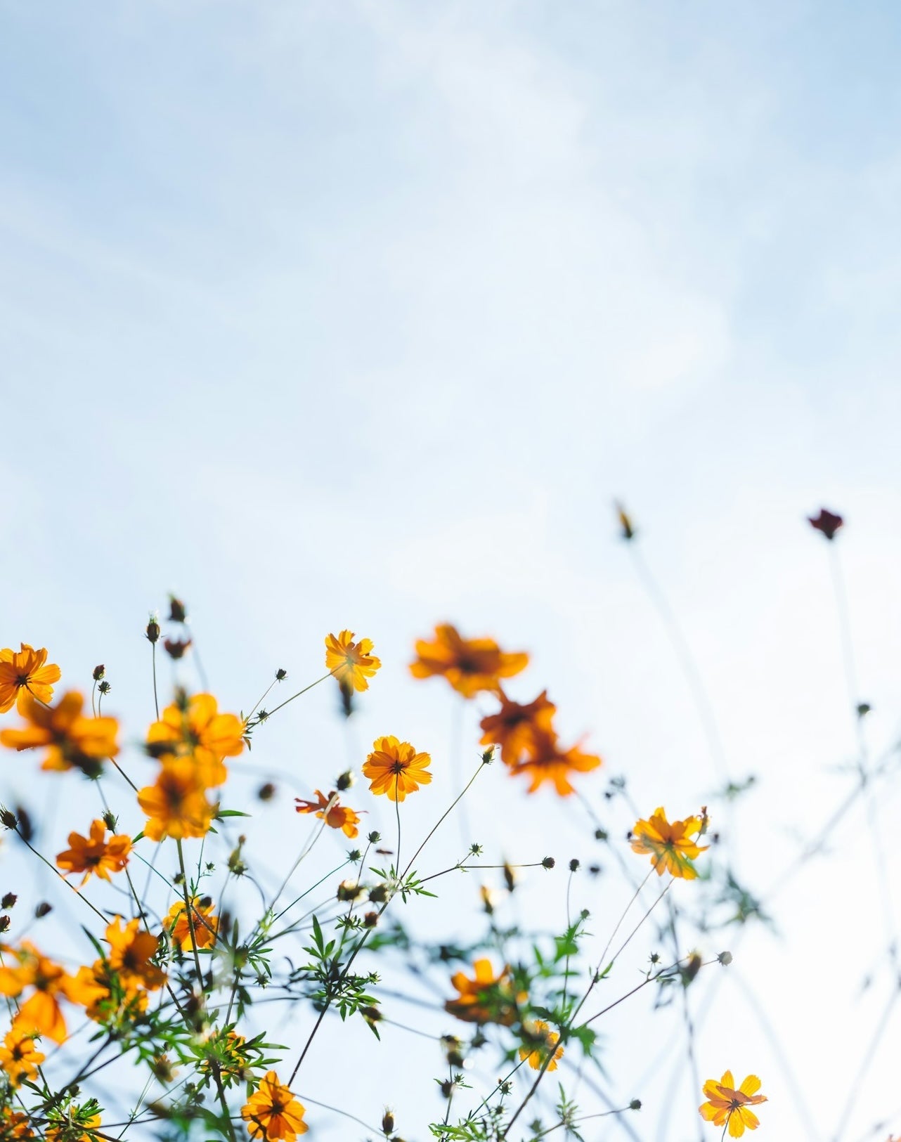 Menopauza bez obav: 2 vědecké tipy, jak zmírnit příznaky