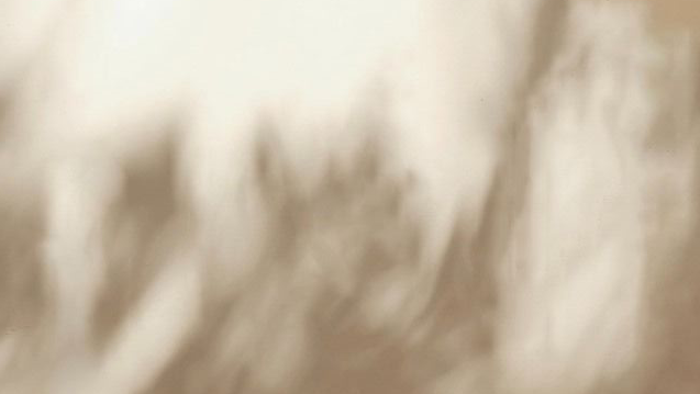 Daily - Collagen kapsičky